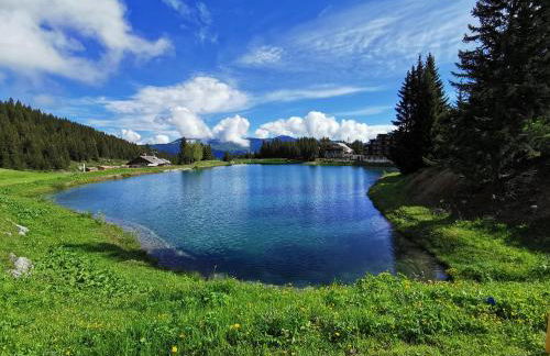 Chalet Emilie - Foto 23