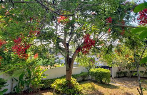 Casa Sitio Região dos Lagos 1200m2 terreno- S Pedro DAldeia - Photo 34