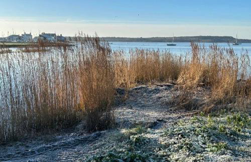 Sea breeze lodge mudeford - Foto 13