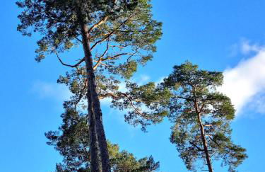 Ferienhaus direkt am See Uckermark - Photo 28