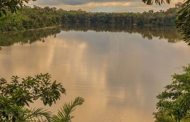 Circuit de 2 ou 3 jours sur l'île aux singes et au lac Sandoval - Photo 1