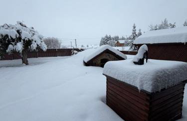 Green Willow Siedlisko - Foto 2