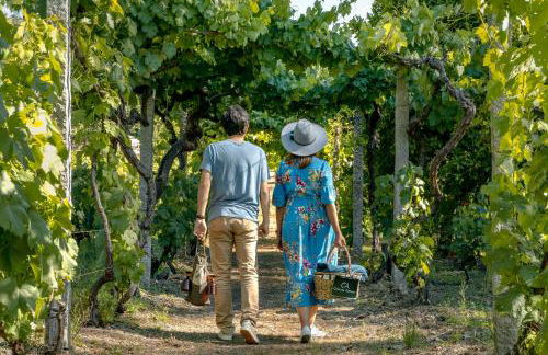 Casa da Azenha - Foto 11