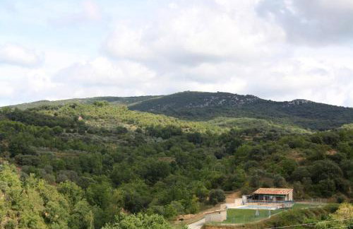 Casa Plana - Foto 13