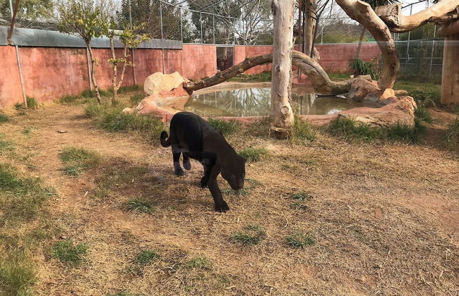 Veras Apartment - Foto 34