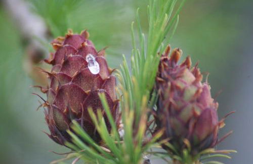 Casa Bagatin - Photo 26