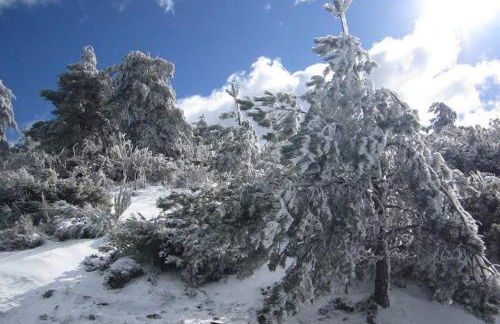 Casa Oeste - Photo 56