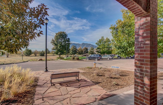 Urban Practicality! 3 Beds, Patios & Dog Friendly - Photo 44