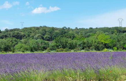 Chez Mi-Chèle - Foto 21