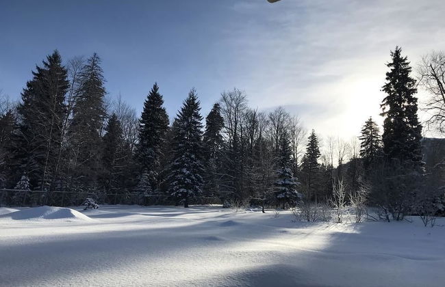 villa by sunexpress bakuriani - Foto 42