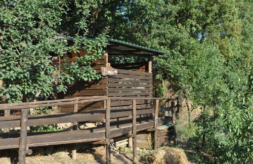 Azienda Agricola Biologica La Cardellina - Foto 29