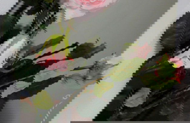 Monambeles Villas - Foto 3