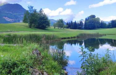 Cosy du Birdie Logement 4 pers avec piscine - Foto 45