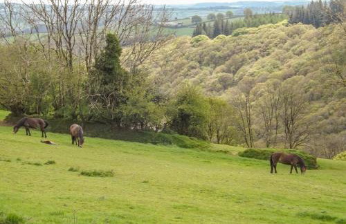 Dairy Cottage Dulverton - Foto 41
