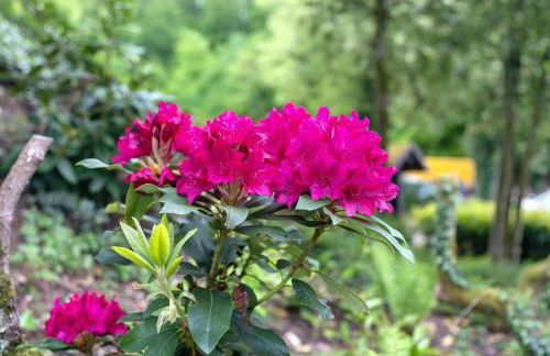 Ferienwohnung Wanderschön - Foto 43