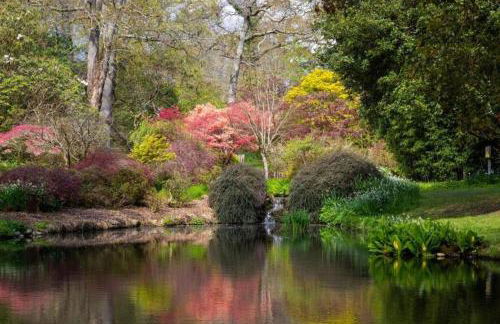 A Cozy Magical Retreat at Knightwood Oak, New Forest - Foto 24