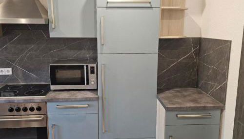 NEU! Ferienwohnung Elsteraue EG links - Foto 4