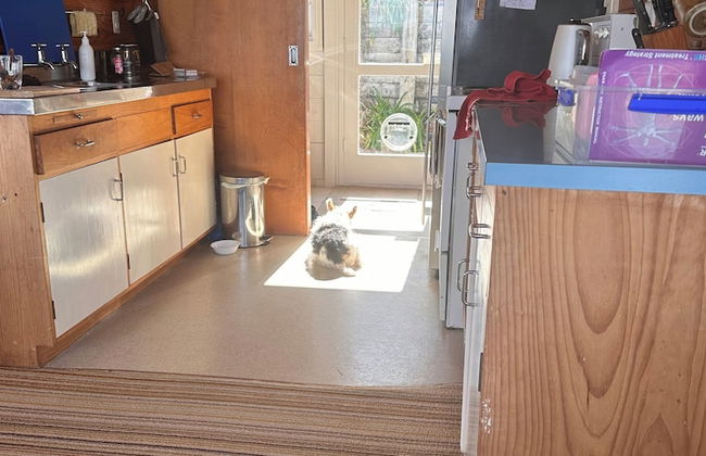 Tairua Treasure - Foto 4