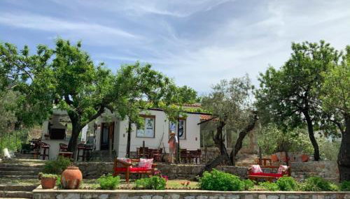 Del & Sol - Foto 2, Garden, Garden view