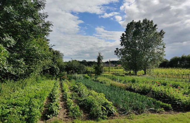 4 Person Holiday Home in Odder - Foto 20