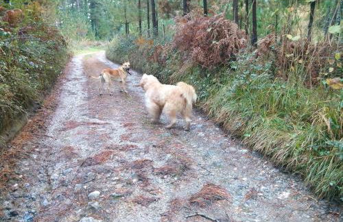 Monte Baserria - Foto 18