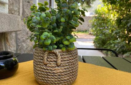 Apartment Mario - Photo 29