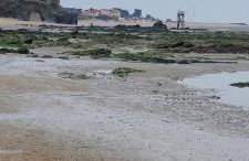 Appartement vue mer - Foto 23