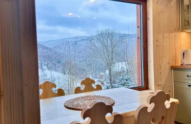 Pod Srebrzystym Świerkiem - Jacuzzi - Foto 6