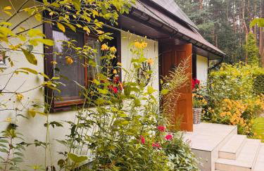 COZY COTTAGE IN THE WOODS - Przytulny domek w lesie - Photo 11