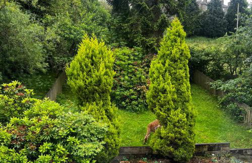 Middle Barn - Foto 24