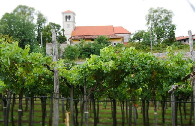 Countryside House Leila - Foto 11