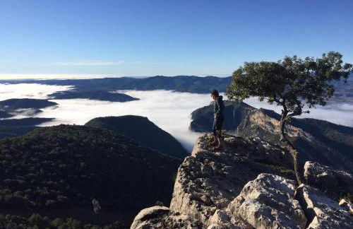 Apartamento Cinca Pirineo en Aínsa - Foto 43