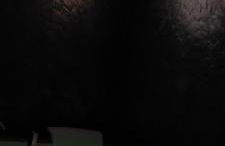 Cactus house relax - Foto 13