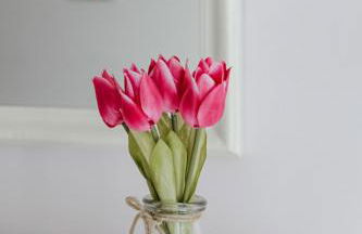 Minerva Holiday Home - Foto 52