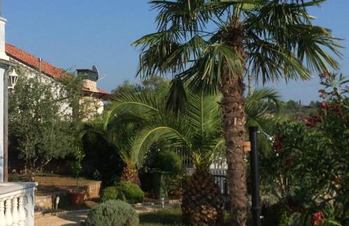 Apartmani Misic - Foto 18