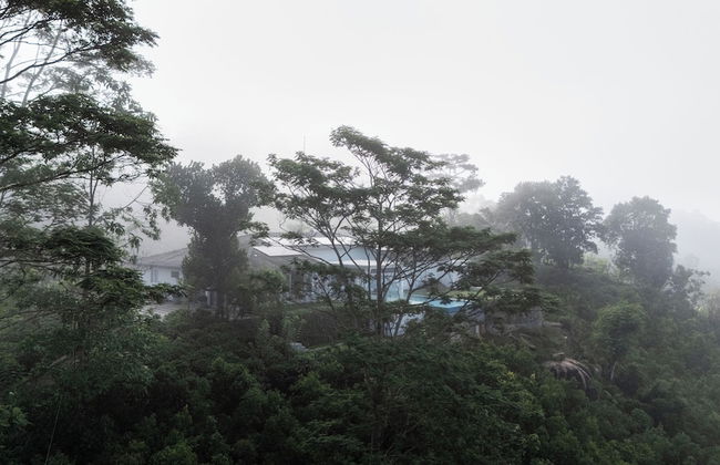 Camelia Ranch - Foto 38