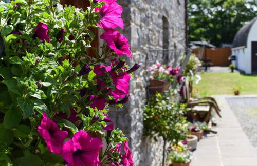 3 Bed in Pembroke oc-bow018 - Foto 15