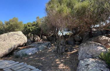 Agriturismo Bed and Breakfast Tanca Taroni - Foto 57