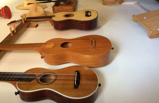 Excursão a Alvarado e Tlacotalpan - Foto 6