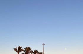 BFF - Beach Family and Friends - Foto 30