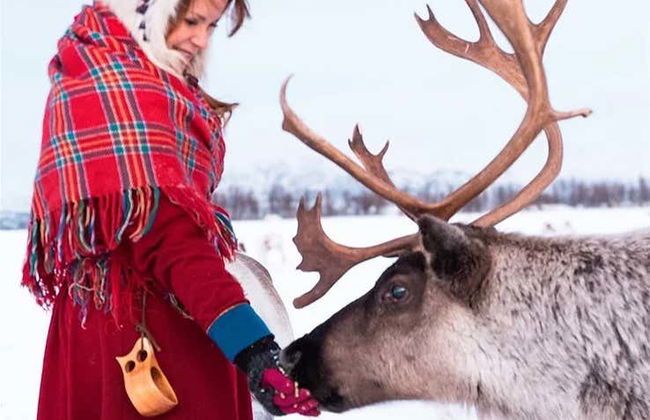 Paseo en trineo de renos y visita a un campamento sami - Foto 6
