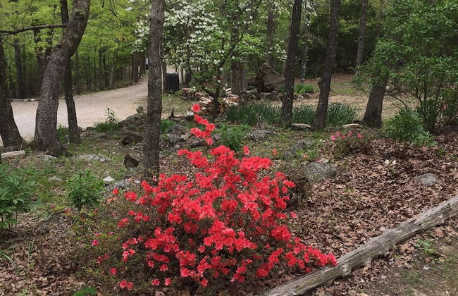 Cherokee mountain log cabin resort - Foto 66