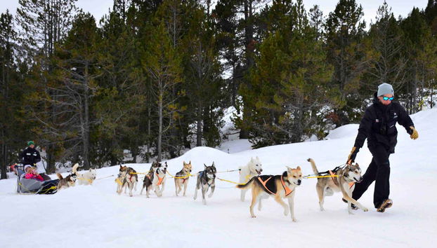 Aventura en trineo de perros