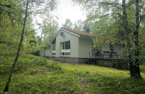 Torr Beatha - Foto 15