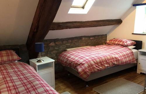 Llwyn Llwyd Cottage - Photo 13