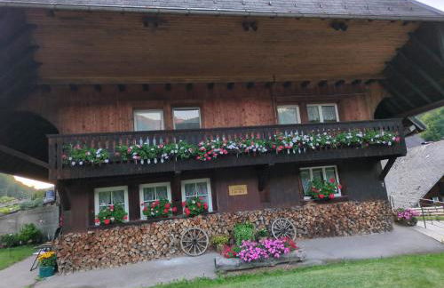 Schwarzwaldferienwohnung Oberle - Foto 30