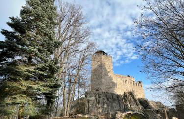 BONNE IDEE - Suite GEORGETTE - Meublé de tourisme 3 étoiles - Foto 65