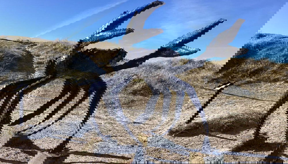 10 Person Holiday Home in Fjerritslev - Foto 1, Imagen principal