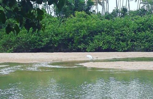 Chale da Lu - Photo 61