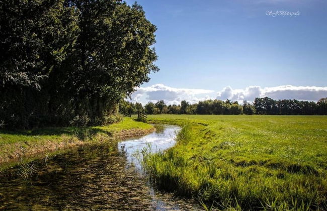 Lodge by Markermeer Near Hoorn - Foto 33